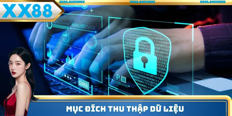 Nhà cái thu thập thông tin để phục vụ công việc
