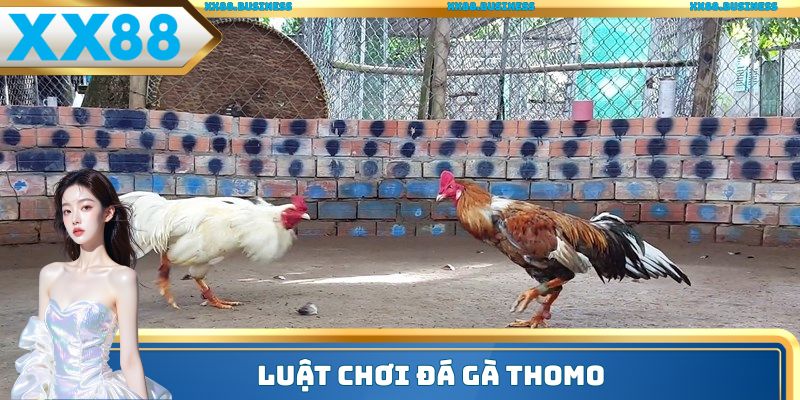 Luật chơi đá gà Thomo