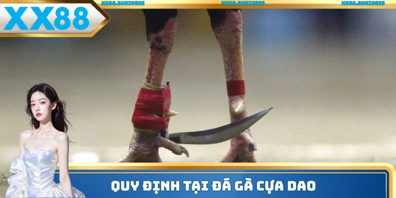 Quy định tại đá gà cựa dao